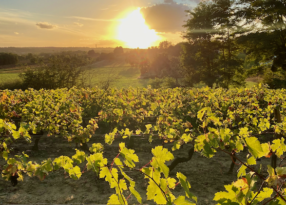 Clos Roussely